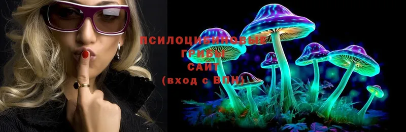 где продают   Гусев  mega сайт  Галлюциногенные грибы Psilocybe 